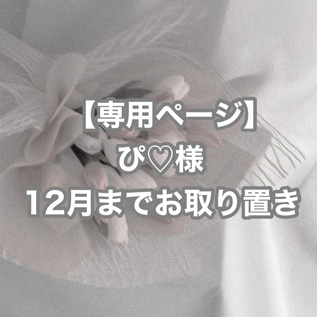 【お取り置き】 少々パーツを | おっちゃんバイク日記～ZX-4RRも盆栽化するのか？